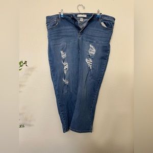 Cato women’s 18w short jeans